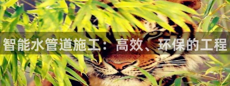 威九国际取款不会被骗吧是真的吗