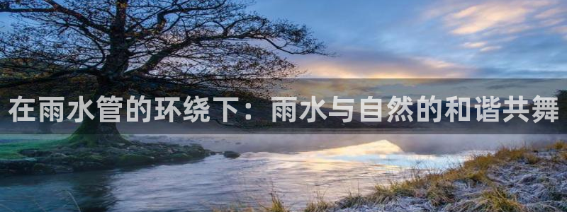 威九国际ppt免费