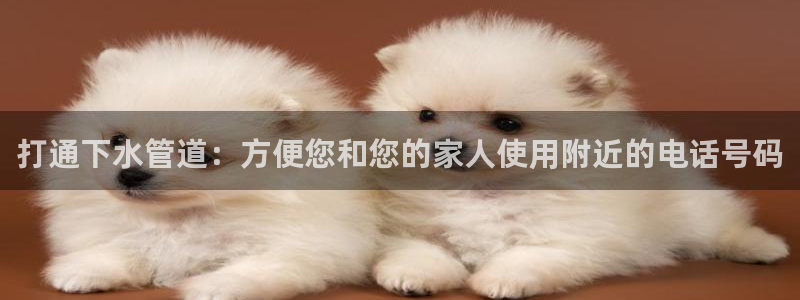 威九国际演员2023年最新作品