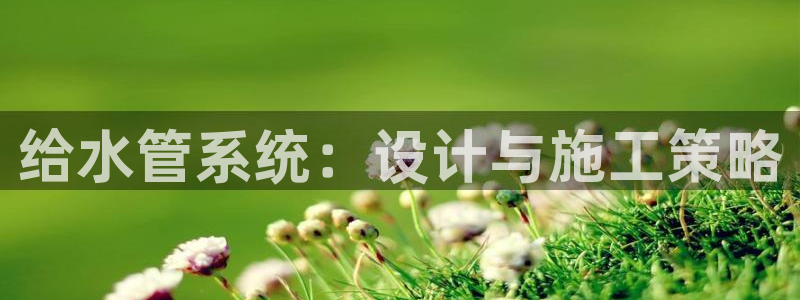 威九国际v96bet官网版